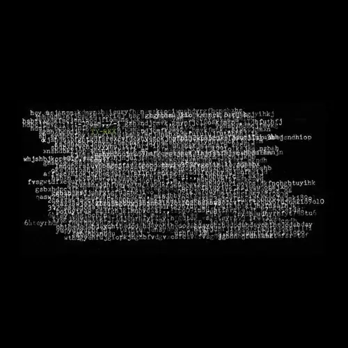 Money Back Guarantee Ty Segall - Ty Rex - New LP Record 2015 Goner USA Black Vinyl & Download - Garage Rock / Glam
